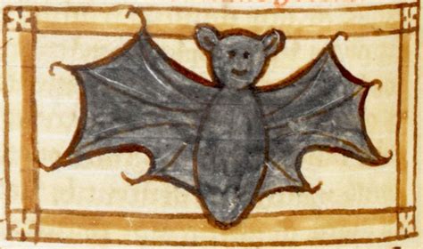 Discarding Images — Discardingimages Smiling Bat Bestiary Liber De