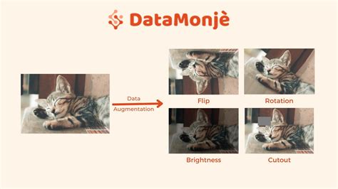 guide  image augmentation  beginners  advanced datamonje