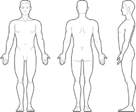 human body outline front   human body outline pinterest