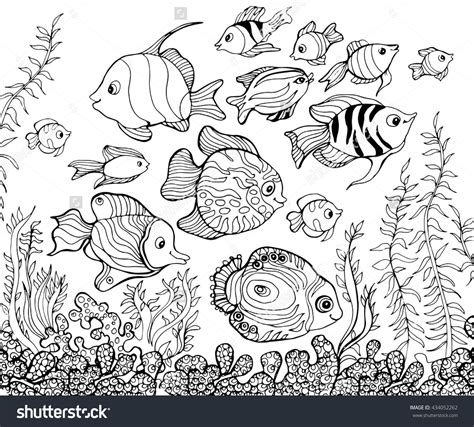 outline drawing underwaterfishcoloring pages  kids fish coloring