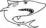 Tiburon Shark sketch template