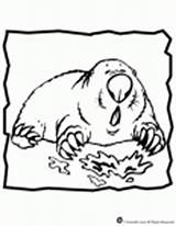Mole Woojr sketch template