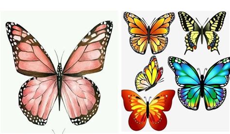 borboleta colorida  imprimir colorir borboletas  criancas