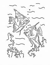 Angelfish Coloring Angel Fish Getdrawings Drawing sketch template