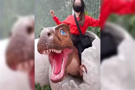 rocking with dinosaurs netizens blast woman riding
