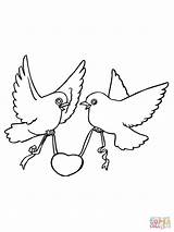 Disegnare Lovebird Hearts Uccelli Innamorate Colorate Coppie sketch template