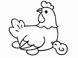 Chicken Cute Drawing Baby Drawings Getdrawings Printable Coloring Pages Cartoon Little Paintingvalley sketch template