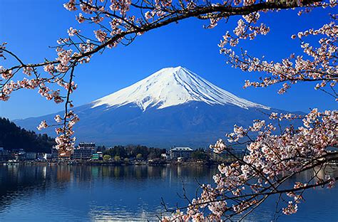 unmissable sights  visiting japan travelquest