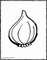 Onion Coloring Pages Drawing Getcolorings Getdrawings Popular sketch template