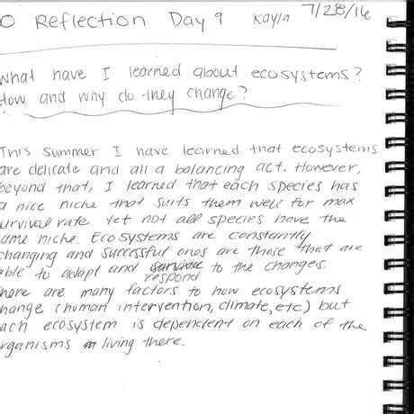 reflection work immersion  house keeping reflection   work
