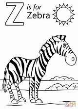 Coloring Zebra Letter Pages Cartoon Printable Alphabet Worksheets Zebras Preschool Supercoloring Super Sheets Kids Colouring Color Print Animal Zz Zoo sketch template