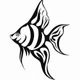 Fish Tropical Coloring Realistic Pages Drawing Sea Clipart Wall Decal Drawings Color Under Ocean Clip Silhouette Angel Angelfish These Simple sketch template