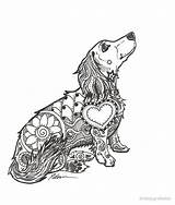 Dachshund Zentangle Long Doxie Haired Tattoo Coloring Lovers Drawing Redbubble Pages Dog Dackel People Dachshunds Works Funny Five Friday Weiner sketch template