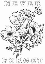 Remembrance Poppies Lest Poppy Rooftoppost sketch template