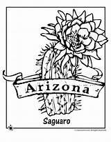Arizona Coloring Cactus State Saguaro Woojr Kaktus Ausmalbild Blossoms Homedecorgaardeningflowers Clipground sketch template