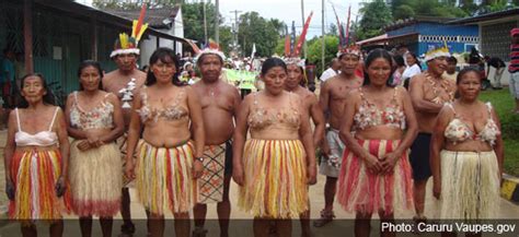 colombia indigenous peoples in the new constitution