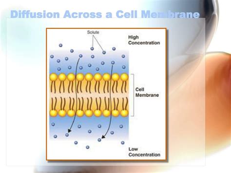 cell structure  function powerpoint