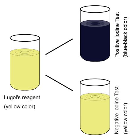 iodine test starch iodine eureka psiberg