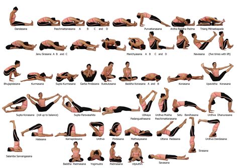 seated posesjpg  yoga poses chart ashtanga yoga poses seated yoga poses