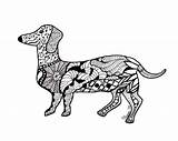 Coloring Pages Dog Dachshund Zentangle Doberman Wiener Colouring Color Animal Drawing Dachshunds Getcolorings Printable Weiner Dogs Adult Template Kids sketch template