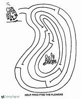 Mazes Printable Maze Frog Flowers sketch template