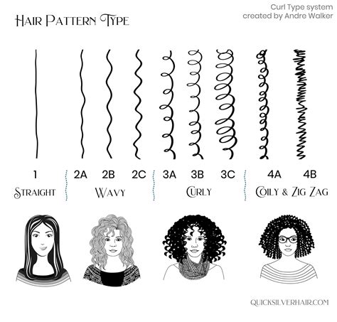 hair type chart poliztalks