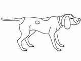 Coloring Pages Hound Dog Blue Tick Coon Dogs Getcolorings Color Printable sketch template