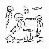 Inhabitants Colorings Underwater Algae Jellyfish sketch template