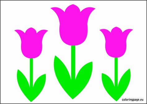 tulip flower template printable sampletemplatess sampletemplatess