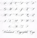 Copperplate Flourish Flourished Letters Capitals Script Flourishes Fonts Flourishing Cursive Lindsey Caligrafia Handwriting Penmanship sketch template
