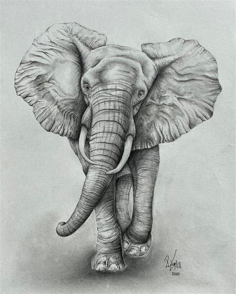 elephant pencil drawing elephant wall art elephant home decor