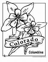Coloring Columbine Colorado Designlooter Flower State Jr Classroom Pages sketch template