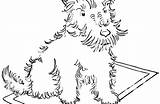 Scottie Dog Drawing Paintingvalley sketch template