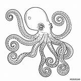 Octopus Coloring Animal Vector Hand Adult Totem Drawn Engraving Zentangle Illustration Tattoo Pages Style Details High Octopuss Pa Shutterstock Stock sketch template
