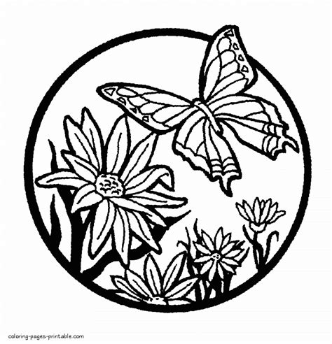 coloring pages flowers  butterflies coloring pages printablecom