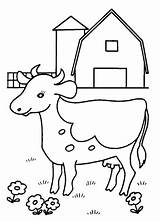 Cow Coloring Farm Pages Grazing Printable sketch template