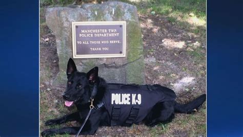 Police K 9 In New Jersey Receives Body Armor Donation To Protect Him In