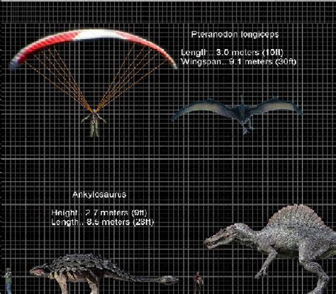Jp Dinosaur Size Chart Pt 10 By Ponchofirewalker01 On Deviantart