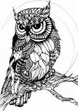 Owl Zentangle Zentangles Coloring Pages Adult Owls Colouring Tattoo Buho Patterns Drawing Birds Uploaded User Drawings Sgraffito Fosterginger Choose Board sketch template