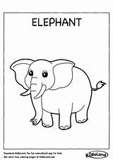 Elephant Worksheets Coloring Worksheet Kidloland Kids Printable sketch template