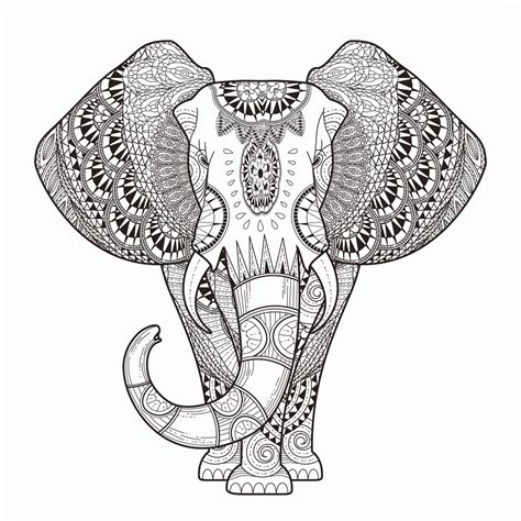 coloring pages  adults printable easy  color animals