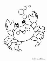 Crab Hellokids Granchio sketch template