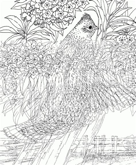nature  printable coloring pages  adults advanced