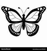 Butterflies Vectorstock Papillon sketch template