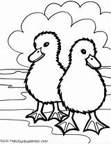 Animals Farm Coloring Animal Pages Printable Kids Color Simple Cute Zoo Barn Print Book Drawings Sketches Wildlife Planet Ducks Bestofcoloring sketch template