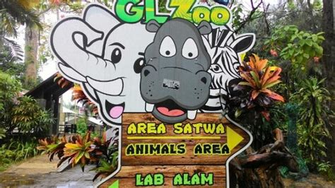 rekomendasi  kebun binatang  wisata edukasi  jogja