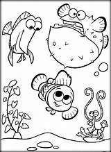 Nemo Finding Pages Coloring Printable Crush Squirt Getcolorings Dory Color sketch template