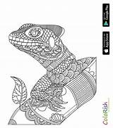 Reptile sketch template