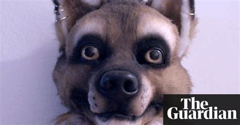 it s not about sex it s about identity why furries are unique among