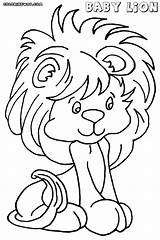 Lion Coloring Pages Baby Colorings Coloringway sketch template